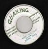 7-tums Skiva RISING STAR  NEW VIBRATION  Ram Pam Pam  Vibratone INGEN Skakande Jamaica Reggae Ska  Dub Begagnad