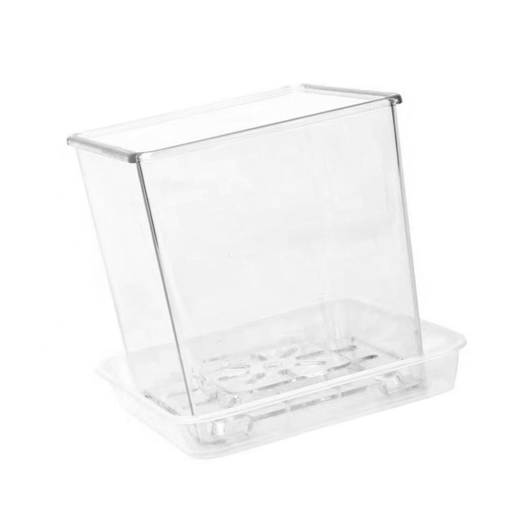 Clear Breathable Plant Container Desktop Ornament Planter Plant Pot Crafts Decors Planter Landscape Crafts