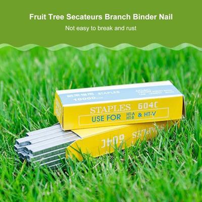 1 Box 604C Staple Nail Sharp Anti-rust Wear-resistant Fruit Tree Secateurs Branch Binder Nail Garden Supply