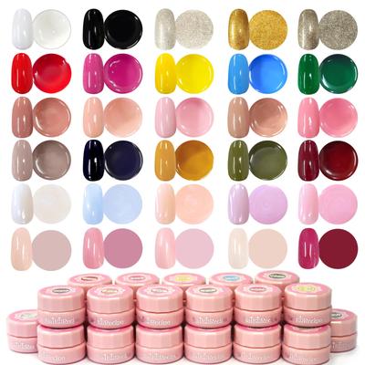 NailRecipe Gel Nail Set: 30 Cute and Usable Colors