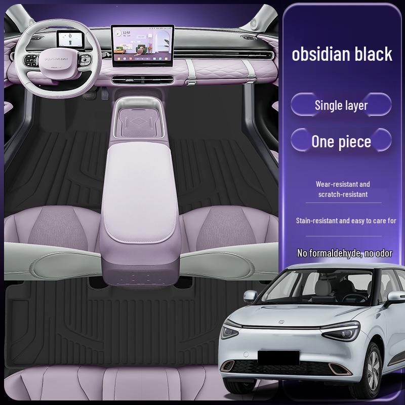Eco-Friendly Waterproof & Dustproof Floor Mats for Nano 01 Cars