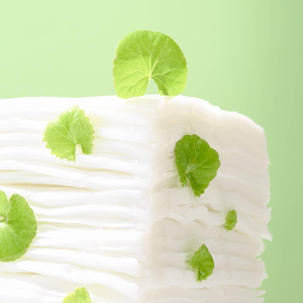 [Bulk Set] Papa Recipe Real Centella Cica Watery Cleansing Tissue 100 Sheets X 3ea