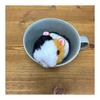 Stuffed toy MOU MOU guinea pig SS calico F0325