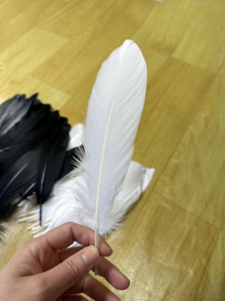 Black White Goose Feather 15-20cm White  Wedding Party Carnival Plume Decoration Jewelry Hats Diy Party Earring  Dress Crafts