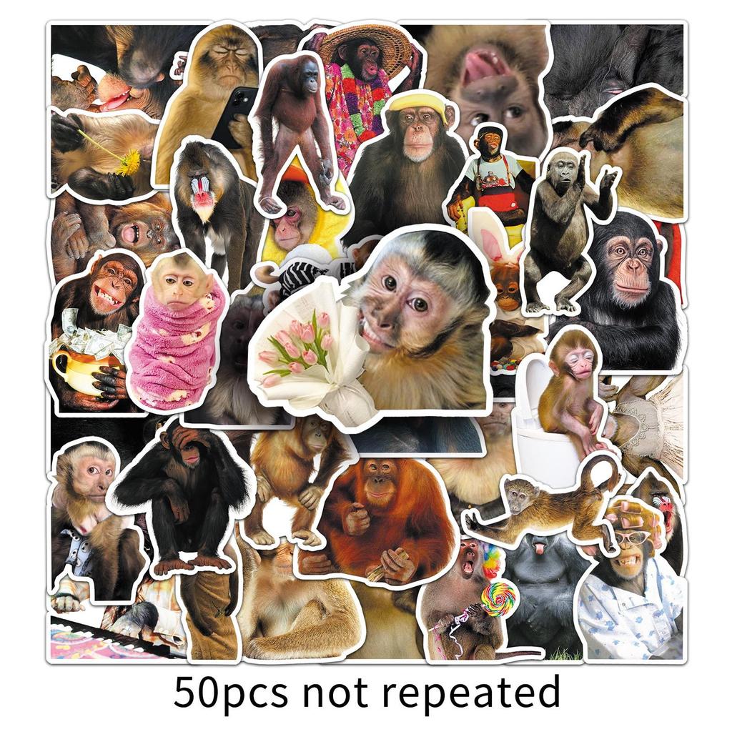 50Pcs Crazy Funny Monkey & Orangutan Doodle Stickers Waterproof Decals For Stationery Notebook Helmet Motorcycle Suitcase Fridge