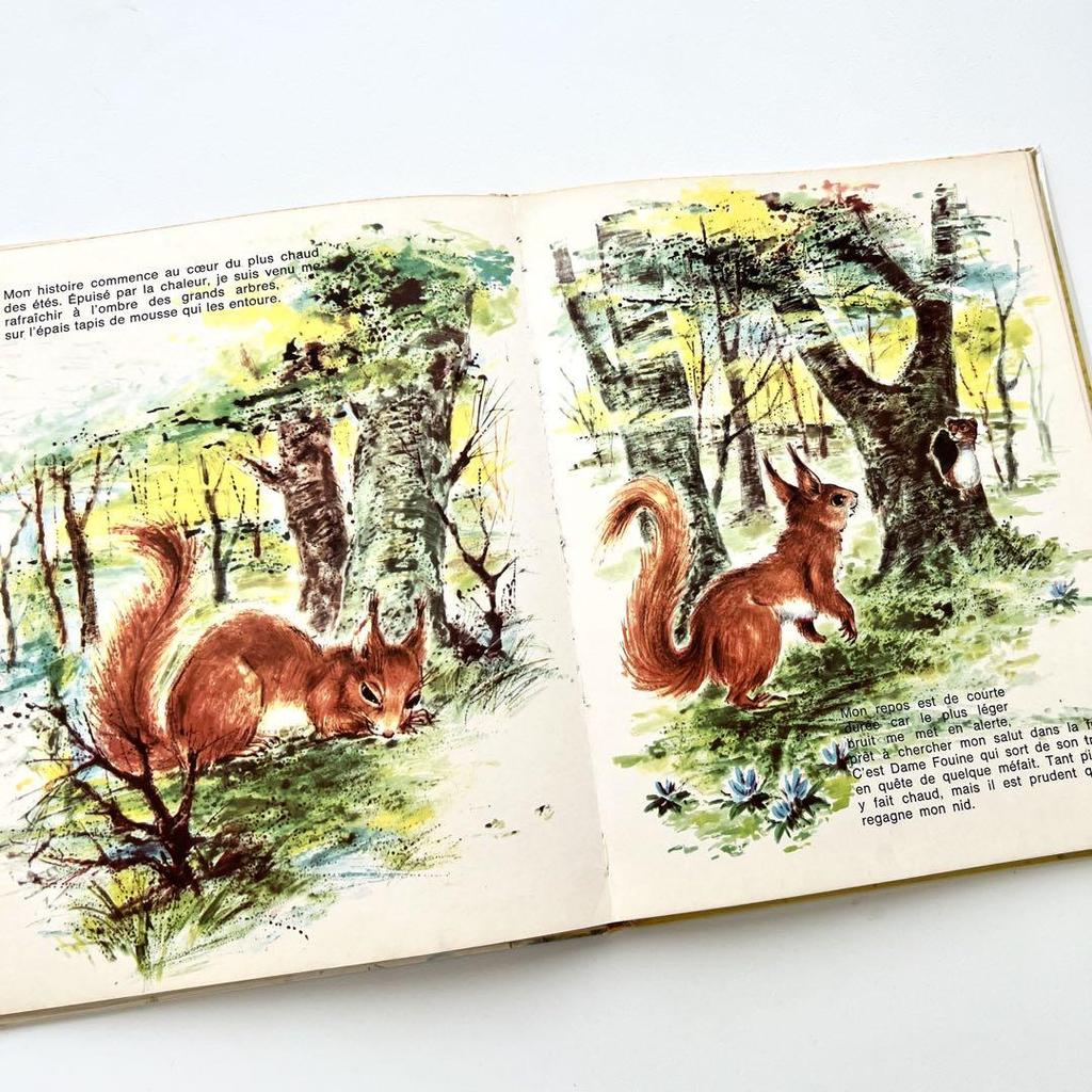 [USED] Maurice Boulanger's Children's Book, Vintage