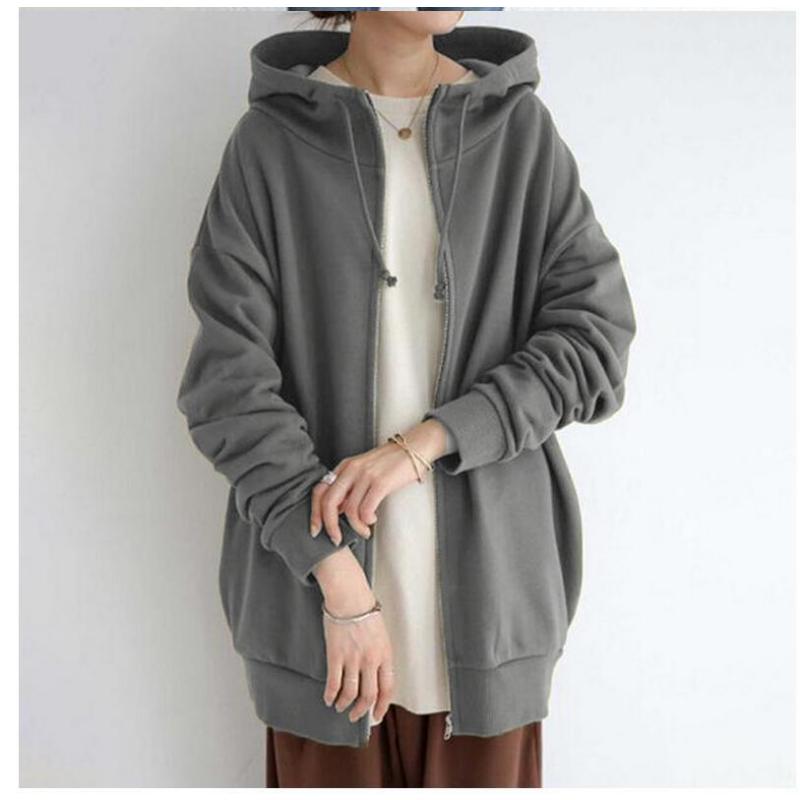 2025 Autumn Winter Women's Oversized Zip Hoodie, Stand Collar Plush Lined Long Hooded Coat for Streetwear