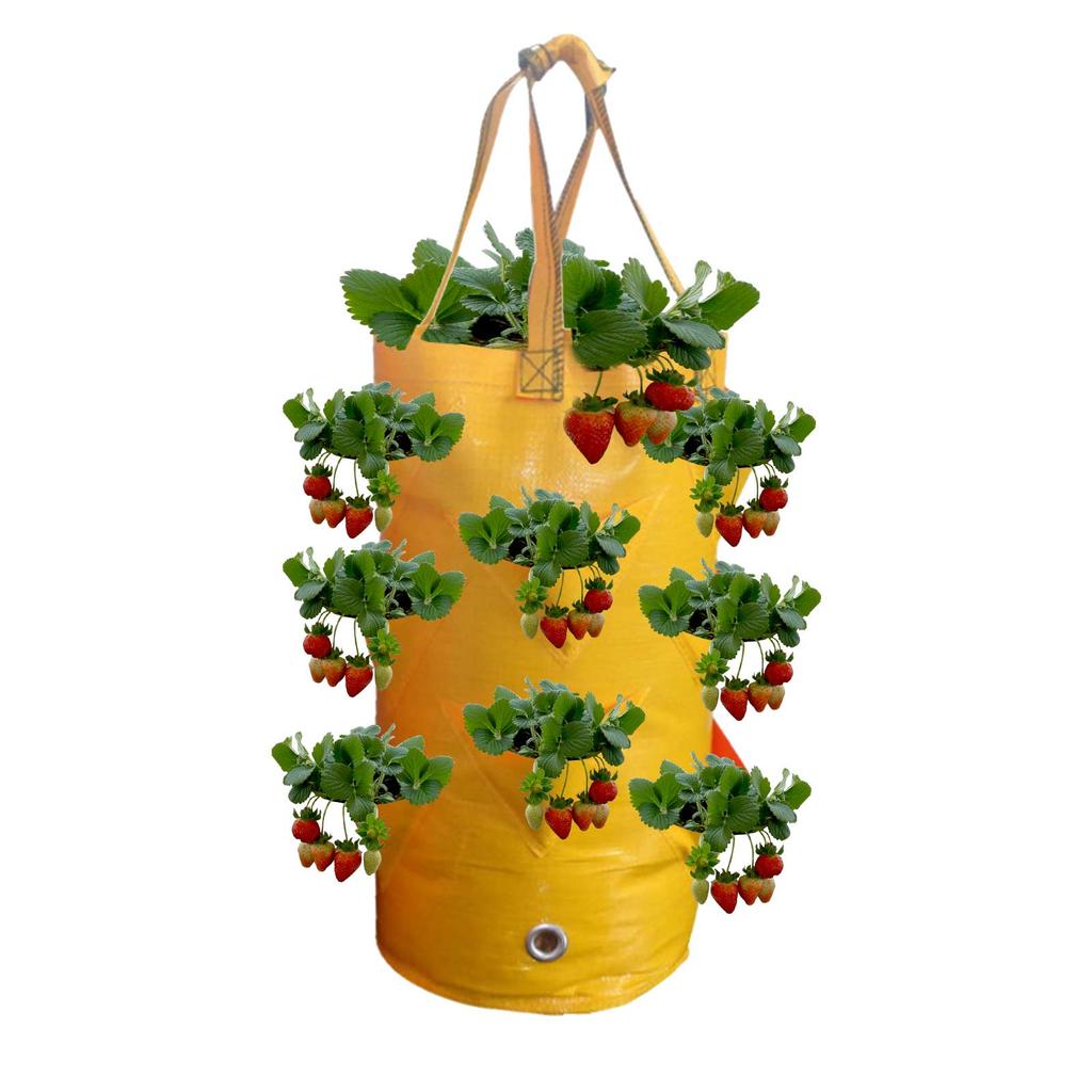 Wisząca Torba na Truskawki Wisząca Roślina Kwiatowa Wiszący Kosz do Sadzenia Torba do Sadzenia