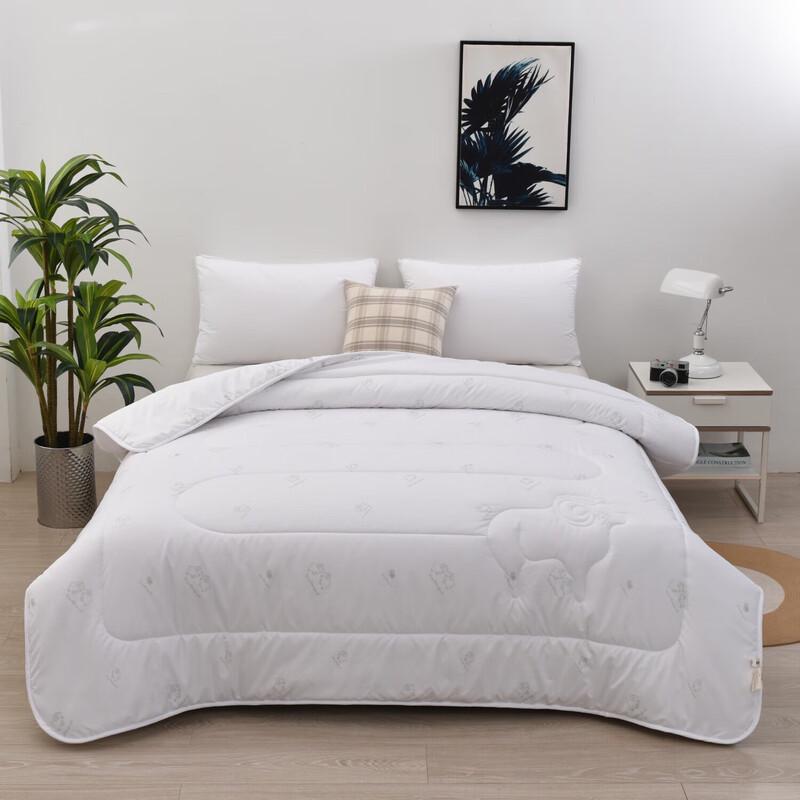 

PLOVER Polyester Fiber Winter Duvet