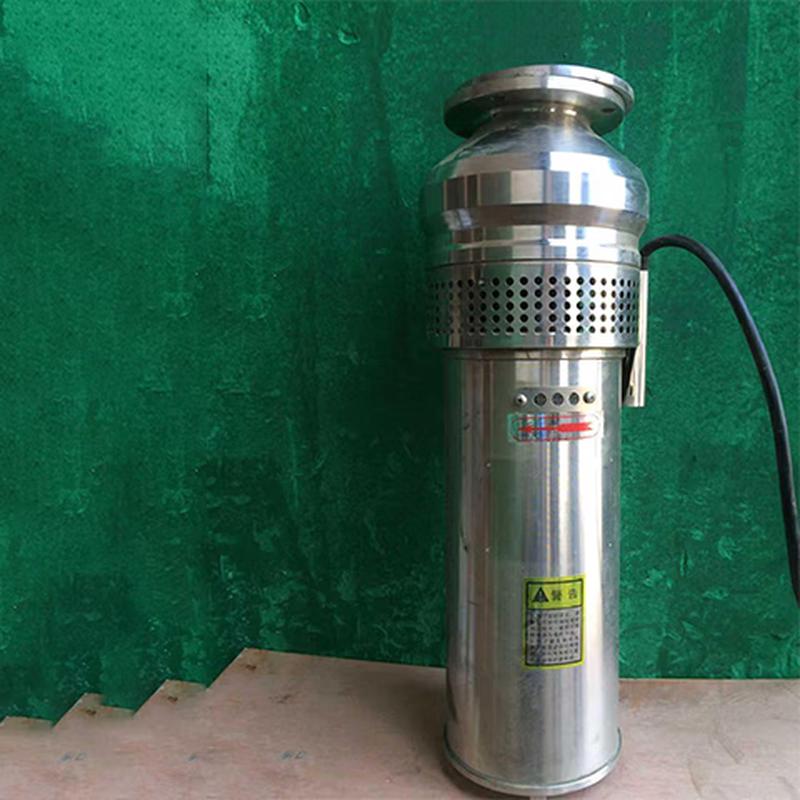 

Black Cat Duke Stainless Steel Submersible Fountain Pump CN plug (adapter included) As Pictured