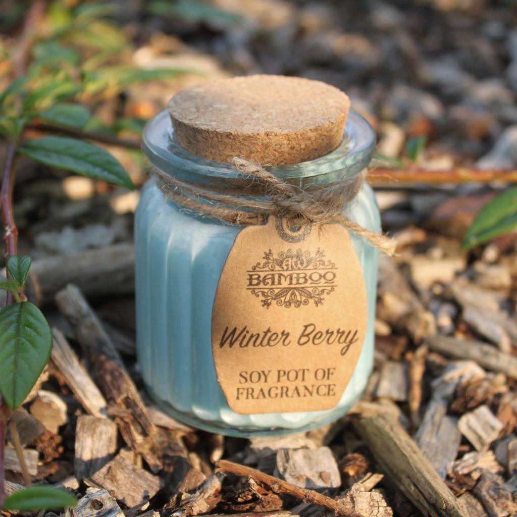 Scented Soy Jar Candles Winter Berry, 2 Pack
