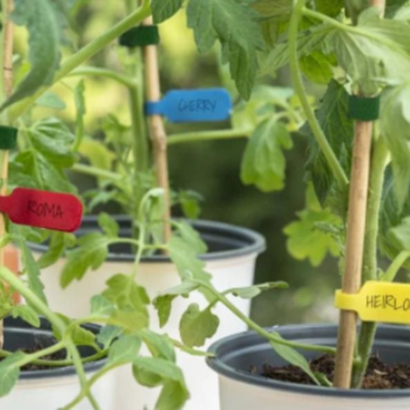 

Этикетки для растений Aidier, бирки для растений, деревьев, регулируемые этикетки для растений в питомнике, подвесные бирки