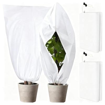 Constructions de jardin – Serres de jardin