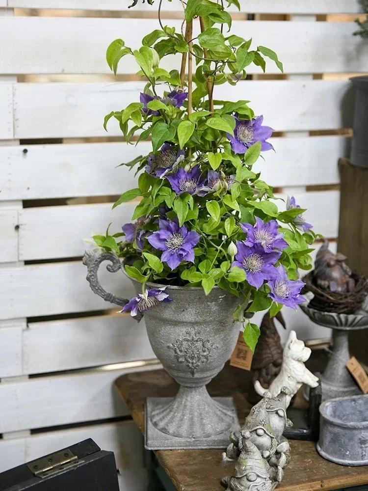 Trophy Shape Retro Style Ironwork Vase Home Villa Garden Balcony Plant Flower Pot Living Room Desktop Decorate Ornaments