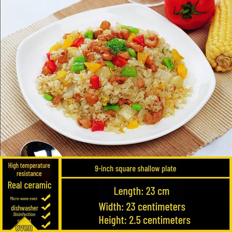 White Irregular Ceramic Dinner Plate