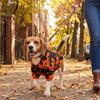 Stretchy Halloween Pet Clothes Soft Dog Cat Costume Cute Pet Cosplay Outfit  Halloween