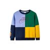 Kids Sweatshirts Crew Neck Moderate DZ9630-410