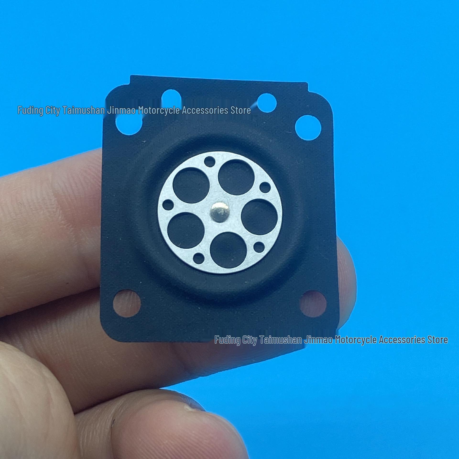 Carburetor Repair Kit with Diaphragm Advisory Service