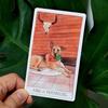 Dog Tarot Card Deck With Doublesided Embossed Art For Creative Thinking And Interactive Play