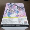 [USED] Punish illustration by Ann's 1/7 scale figure