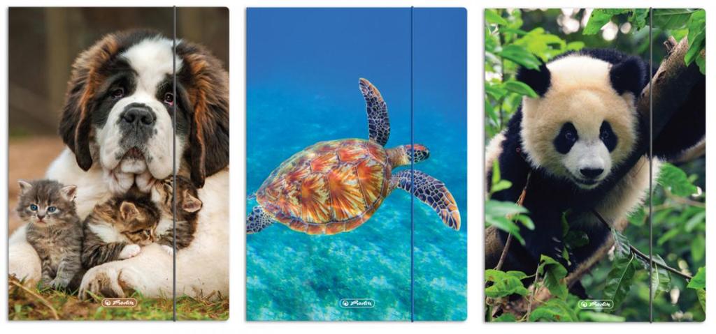 TECZKA RYS.A4 Z GUM.ANIMALS  300023013 A'10