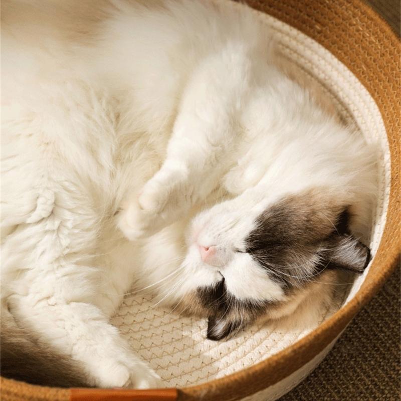 Cats Puppy Bed Basket Base Scratch Resistant Mat for Small to Medium Pet Creative Pet Bed Cute Nest Machine Washable