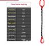 Four-Limb Lifting Chain Sling Set with Two Hooks and Lifting Eyes - Available in Single, Double, and Four Leg Options