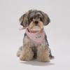 DAS SALLYS LAW Daisy Bandana (Baby Pink)