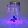 Led Butterfly Jar for Home Decor