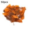 Yousheng 50Pcs Guineahen Feathers Natural Chicken Tail Feathers Bright Colors 4.5-10cm Feathers for Crafts DIY Earrings Dream Catcher Wedding Easter
