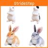 Adorable Plush Brown And White Bunny Toy For Cuddling And Snuggling, 24cm