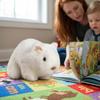 Cartoon Guinea Pig Plush Toy Soft Animal Plush Pillow Cavy Plush Doll  Festival Party Decor