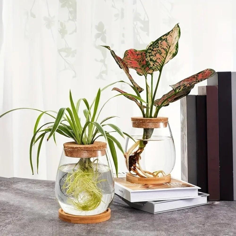 Vase Rack Transparent Hydroponic Flowerpot with Wooden Tray Decorative Tabletop Plant Vase Glass Glass Planter Botanical Display