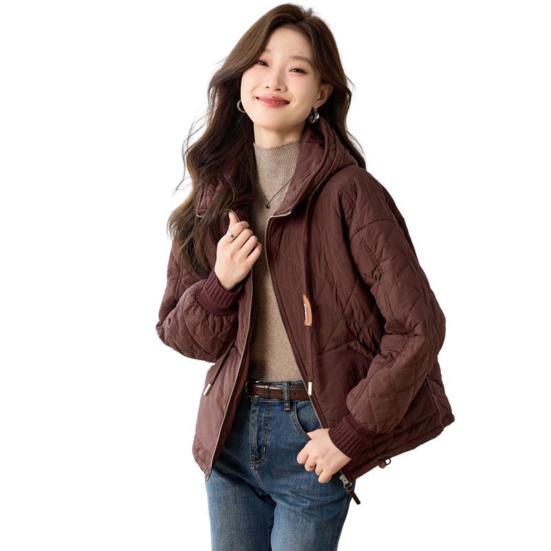 Women's 2024 Winter Casual Hooded Cotton-Padded Jacket - Loose, Plus Size, Thick, Warm, & Fashionable.