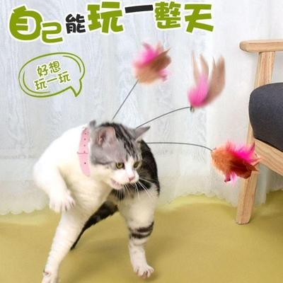 Interactive Feather Cat Teaser with Bell & Collar
