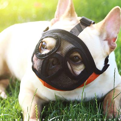 Bulldog Munkorg för hund Justerbart Andningsbart Hundmunskydd Anti Bark Bite Mesh Hundar Mun Munkorg Mask För Fransk Bulldog Mops