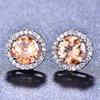 Platinum Champagne Round Cut Simulated Diamond Stud Earrings with Halo Setting for Women and Girls Jewelry Gift
