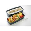 Skater Shokado 2 Tier Bento Box 900ml Made in Japan Modern Plus POW5S-A