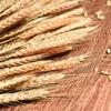 50pcs DIY Craft Dry Wheat Spikes Natural Dried Flowers Dried Wheat Stalks  Christmas Decoration