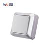 WESA Silvery Wall Surface Button Light Switch EU Spray Paint Plastic Outdoor 1 Gang 1 Way Wall Exterior Rocker On / Off Switch