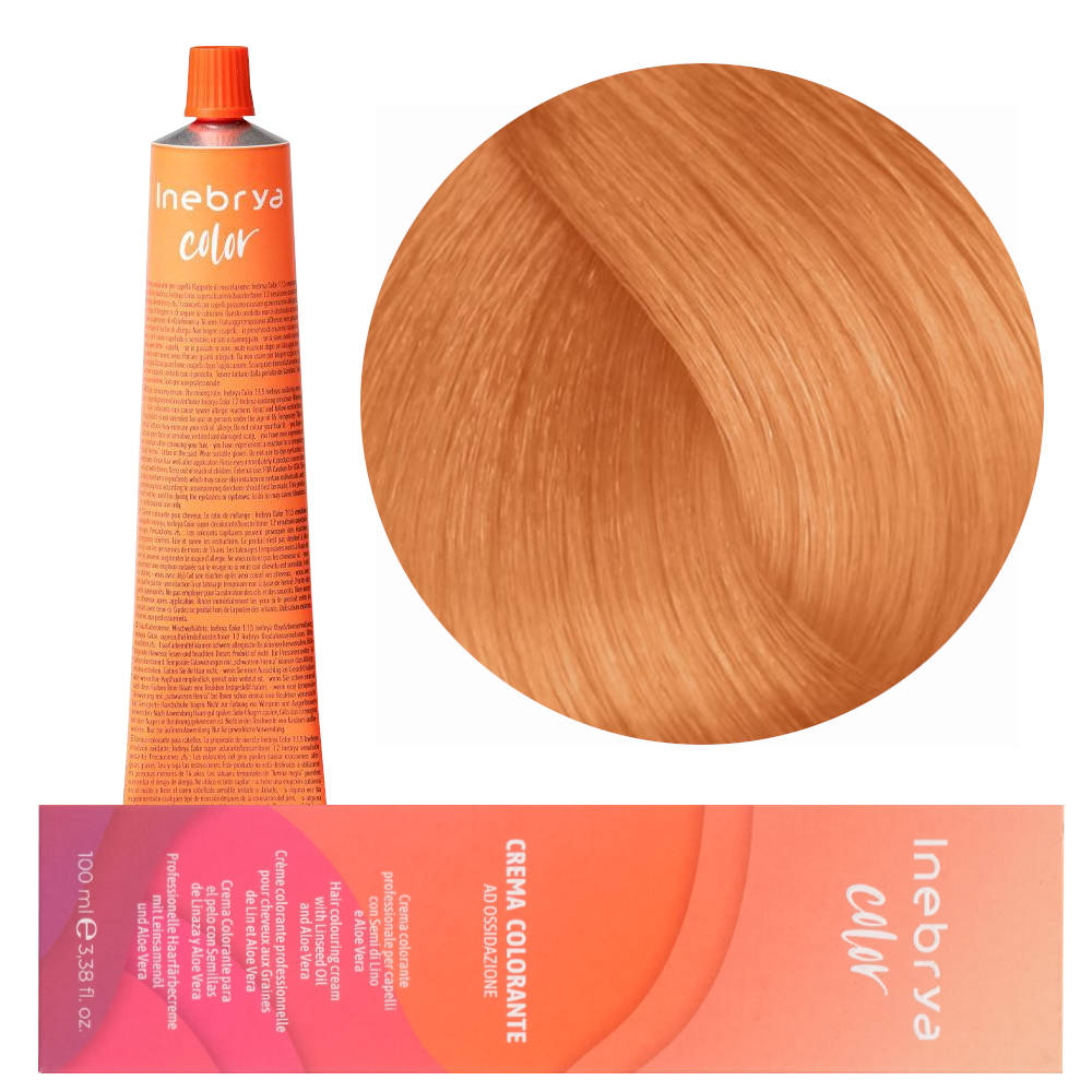 Inebrya Color 10/42 Paint 100