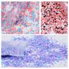 50g X 1bag Nail Round Flake Sparkly 12-Design Ultra-thin Chunky Dazzling Multi-Color Colorful Flakes DIY Nail Tip Art Decoration