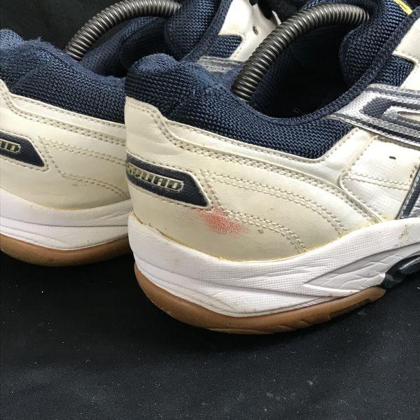 Asics Hallenschuhe für Handball Volleyball Badminton Weiß Größe 29.0cm(GEBRAUCHT)