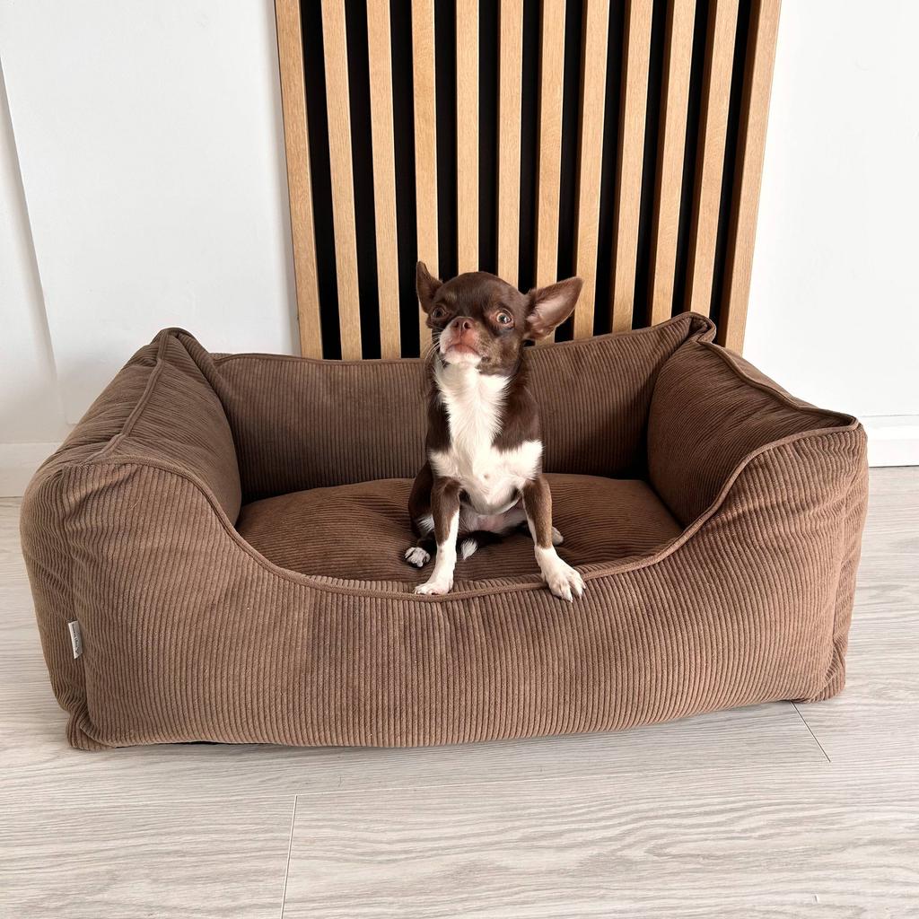 Comfy Orthopedic Bed - Size S Creme