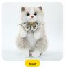 Cross-border Cat Doll Backpack: Plush Simulation Double Shoulder Toy, Ideal Gift for Girls