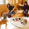 Höst Vinter Kattbo Förtjockad Varm Kurragömma Kattunnel Intressant Design Husdjurssängar Fuktsäker Kattillbehör