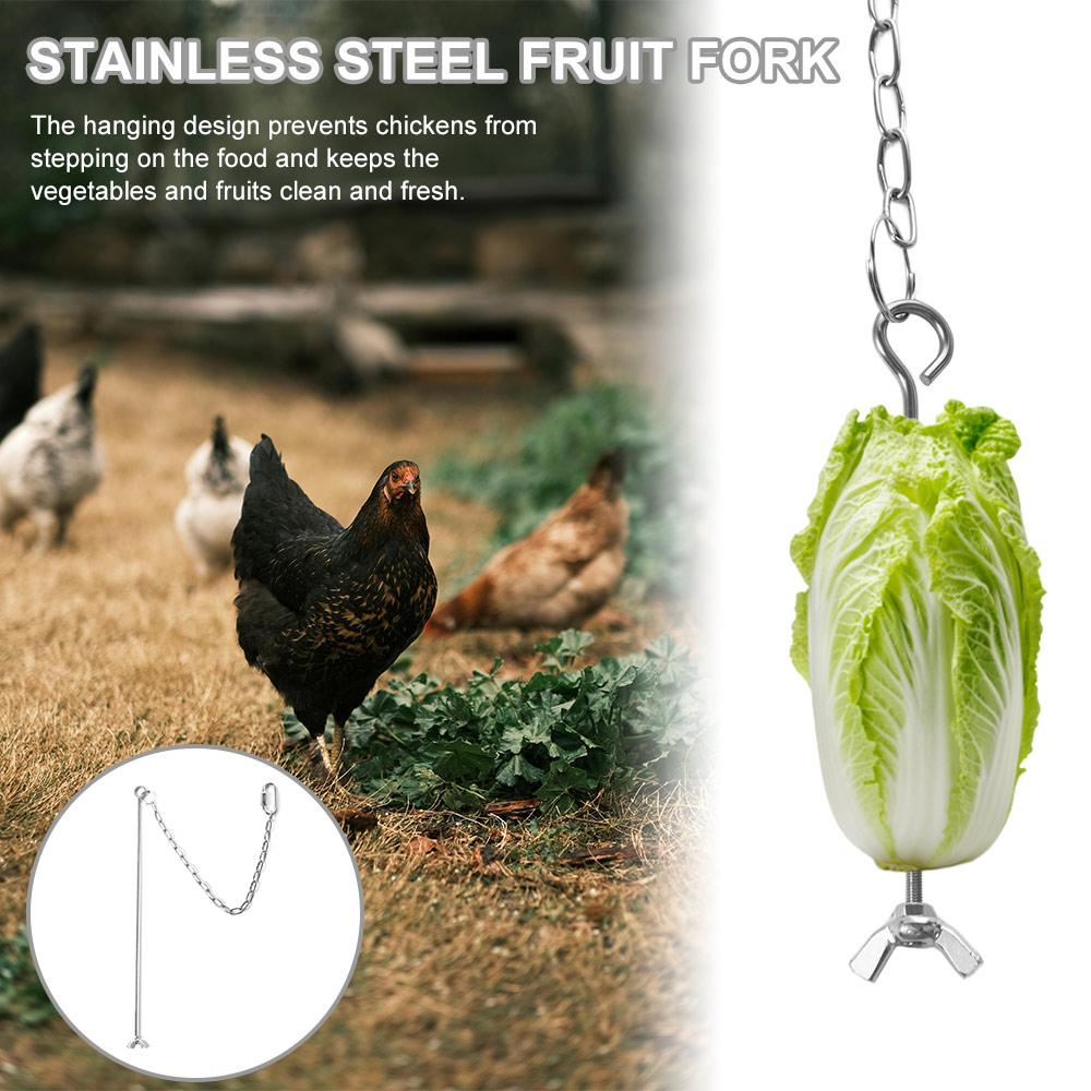Rust-proof Bird Cage Food Holder Stainless Steel Chicken Veggies Hanging Feeder  Birds