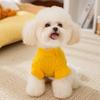 Cute Little Dinosaur Autumn and Winter Dog Sweater Knitted Teddy Puppet Cat Clothing Two-legged Pet Clothes