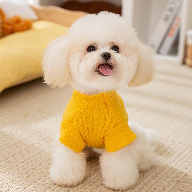 Cute Little Dinosaur Autumn and Winter Dog Sweater Knitted Teddy Puppet Cat Clothing Two-legged Pet Clothes