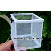 Inside The Fish Tank Fish Seedlings Are Kept In Isolation Net Breeding Box